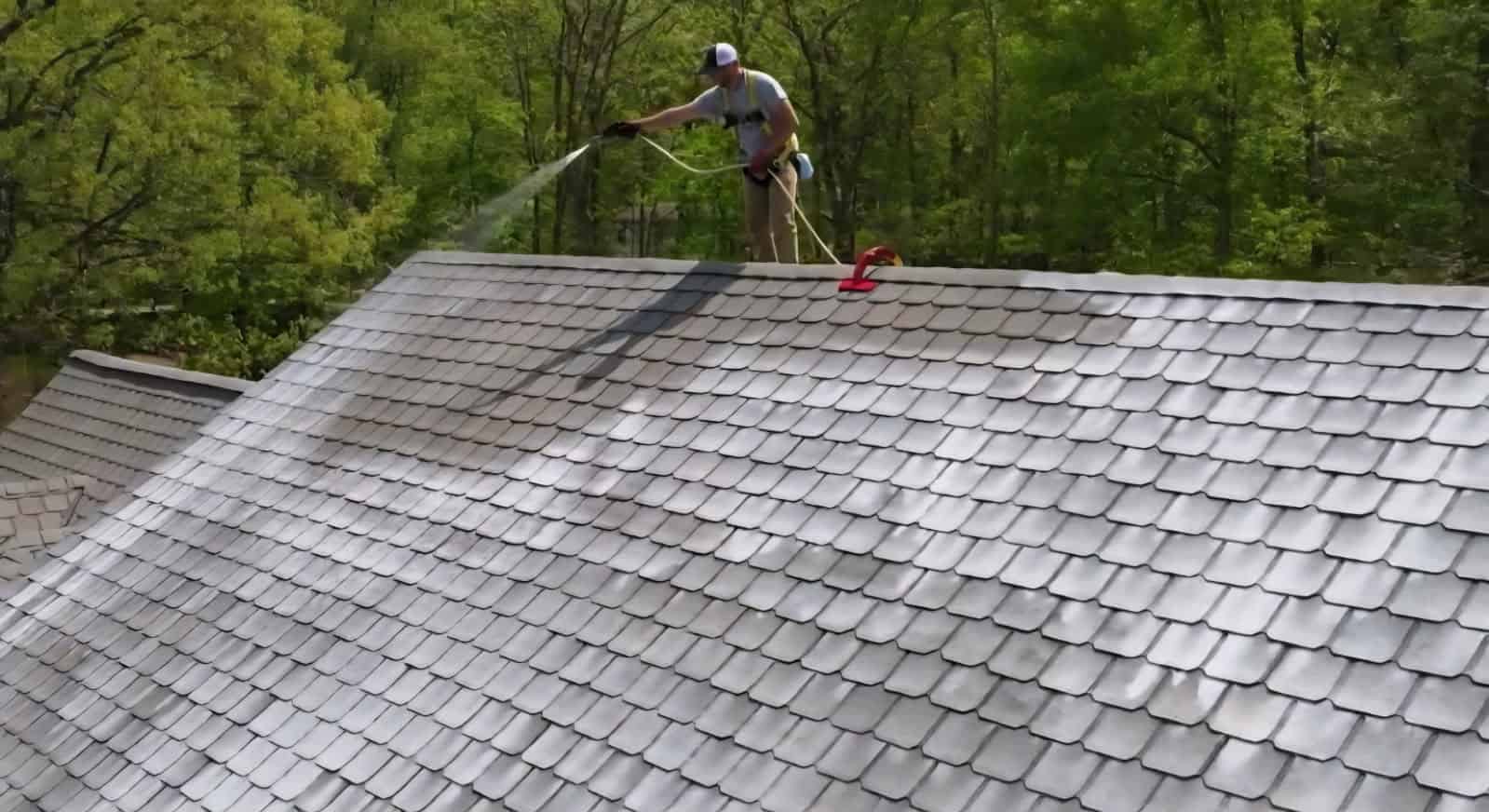 Roof Rejuvenation image