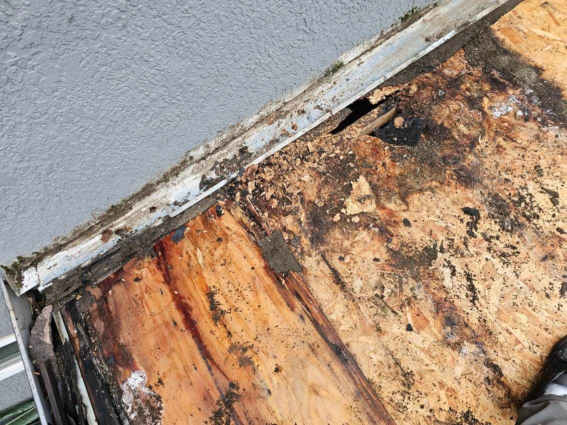 Expert Tile Roof Restoration in Roseville