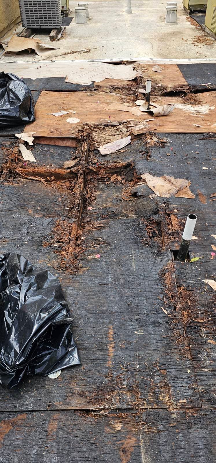 Transforming Neglected Roofs in Placerville image